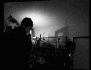 32.gif
