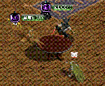 0657b4e7.GIF