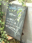 黒板