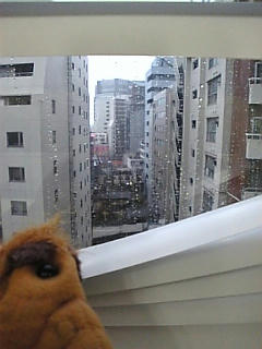 雨、アルフ