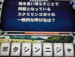 090811-2.jpg