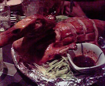 090822-4.jpg