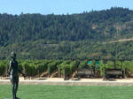 napa.jpg