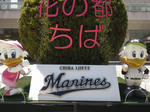CIMG0414.JPG