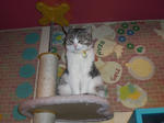 CIMG0453.JPG
