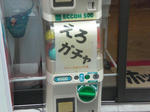 CIMG0661.JPG