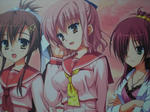 CIMG0781.JPG