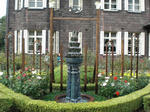 CIMG0954.JPG