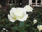 CIMG0957.JPG