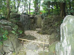 CIMG0960.JPG