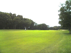 DCSA0017.JPG