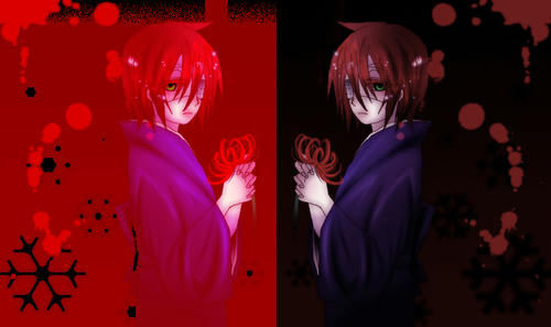 lavi2.jpg