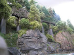 20091004_018.JPG