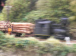 20091004_027.JPG