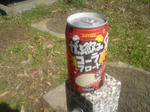 img20100516_001.jpg