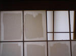 img20100605_011.jpg