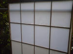 img20100605_015.jpg