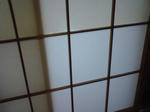 img20100605_016.jpg