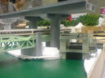 img20100823_003.JPG