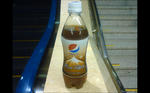img20101101_009.JPG