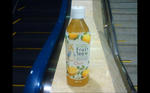 img20101101_005.JPG