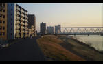img20110205_001.jpg