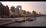 img20110408_003.jpg