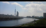 img20110429_005.jpg