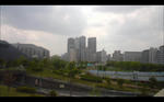 img20110429_006.jpg