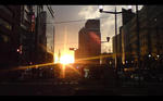 img20110514_001.jpg