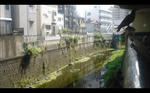 img20110706_003.JPG