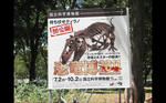 img20110712_004.JPG