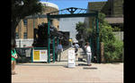 img20110712_006.JPG