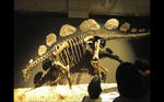 img20110712_011.JPG
