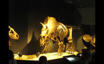 img20110712_021.JPG