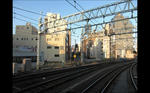 img20110928_003.jpg