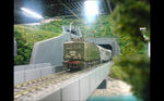 img20111101_004.jpg