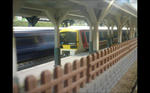 img20111101_005.jpg