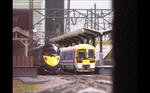 img20111101_007.jpg