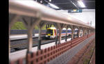 img20111101_008.jpg