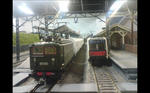 img20111102_006.jpg
