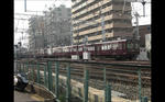 img20111127_002.jpg