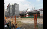 img20111127_003.jpg