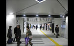img20120326_004.jpg