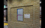 img20120326_022.jpg