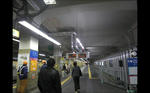 img20120328_001.jpg