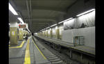 img20120328_016.jpg