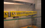 img20120506_006.jpg