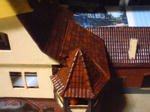 img20121201_002.jpg