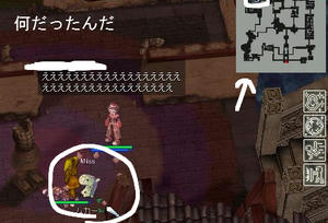 47995609jpeg